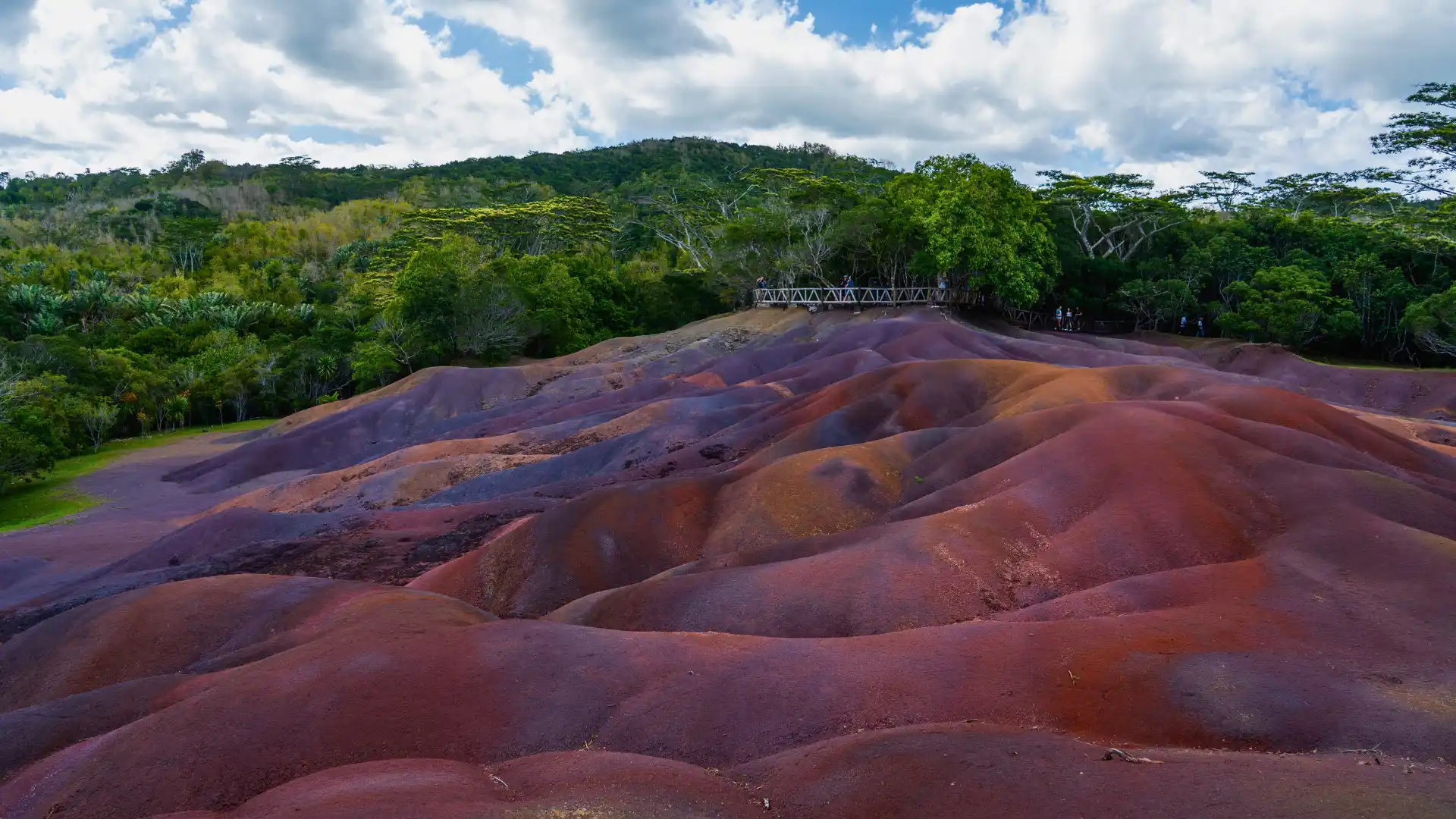 23 Colored Earth